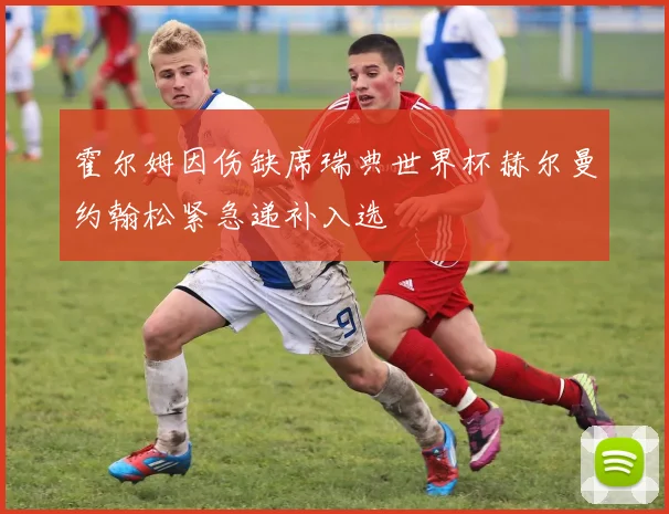 霍尔姆因伤缺席瑞典世界杯赫尔曼约翰松紧急递补入选