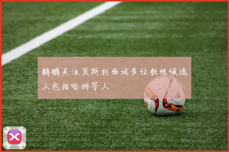 鹈鹕关注莫斯利面试多位教练候选人包括哈姆等人
